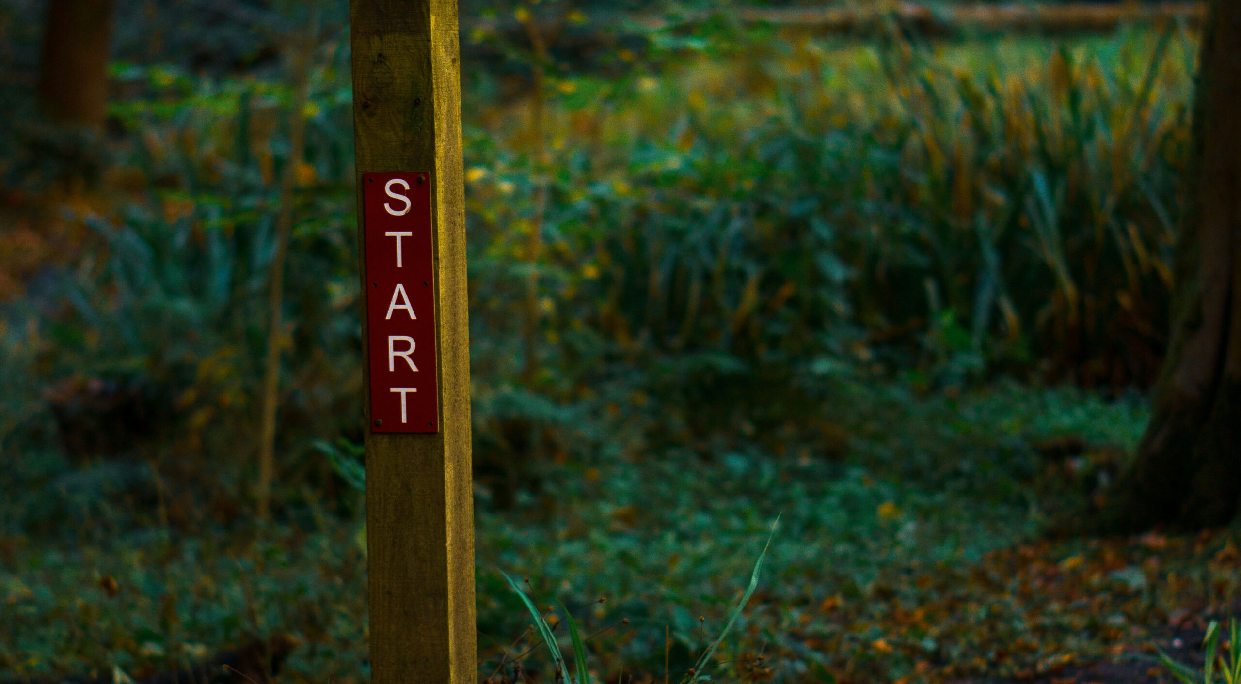 Technology Planning for Small Nonprofits: Where to Start